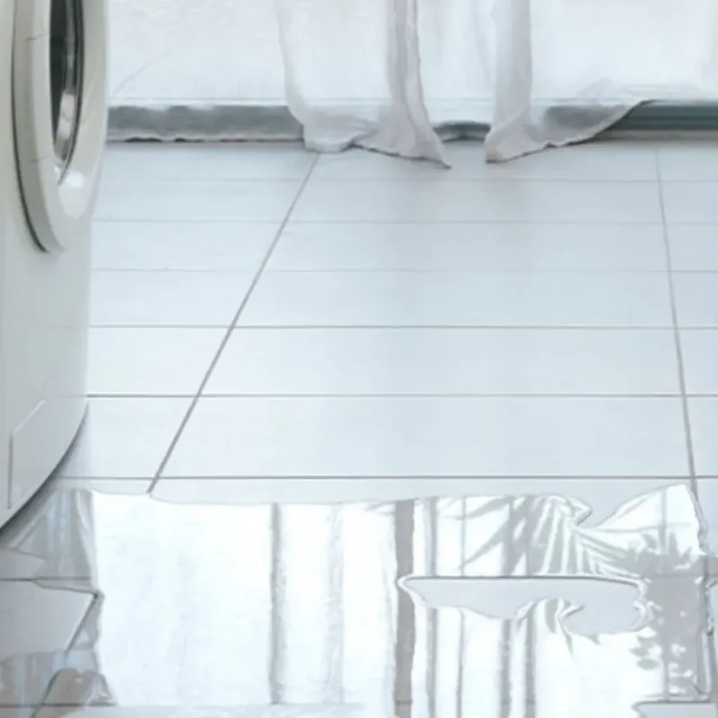 Appliance Leak Cleanup in Rangely, CO