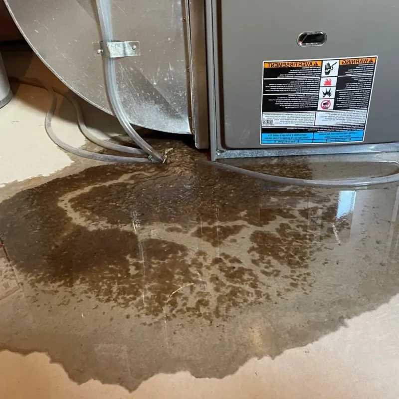 Pipe Burst and Leak Restoration in Rangely, CO